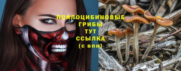 ПСИЛОЦИБИНОВЫЕ ГРИБЫ Аркадак