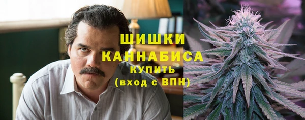 ПСИЛОЦИБИНОВЫЕ ГРИБЫ Аркадак