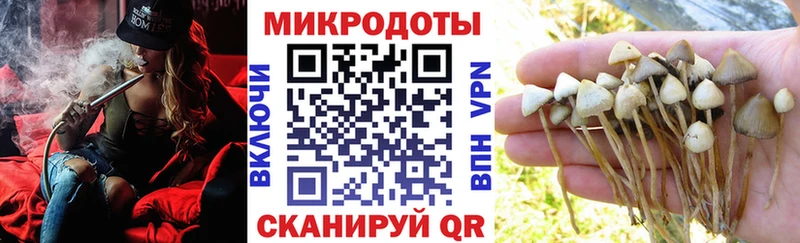 даркнет какой сайт как найти закладки Змеиногорск Галлюциногенные грибы мухоморы